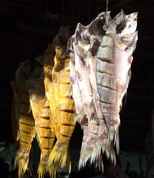 Рыба на рынке — стоковое фото