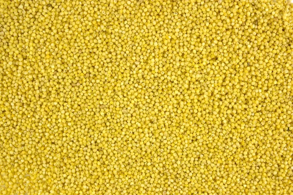 Sfondo giallo miglio — Foto Stock
