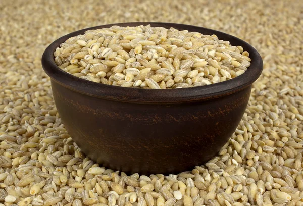 Raw organic pearl barley into a bowl on the background — Stock Photo, Image