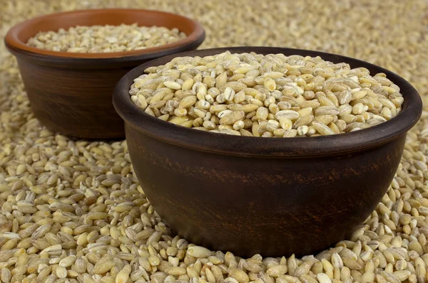 Raw organic pearl barley into a bowls on the background — Stock Photo, Image