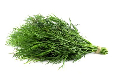 Beyaz arka planda taze, yeşil dereotu.