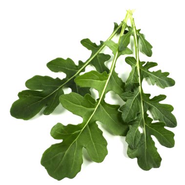 Beyaz arkaplanda taze roka yaprakları