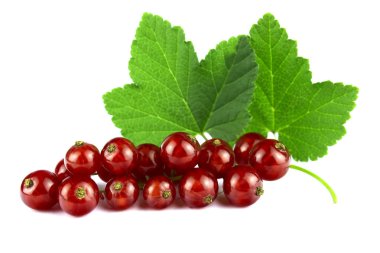 yaprak üzerine beyaz izole kırmızı kuş üzümü