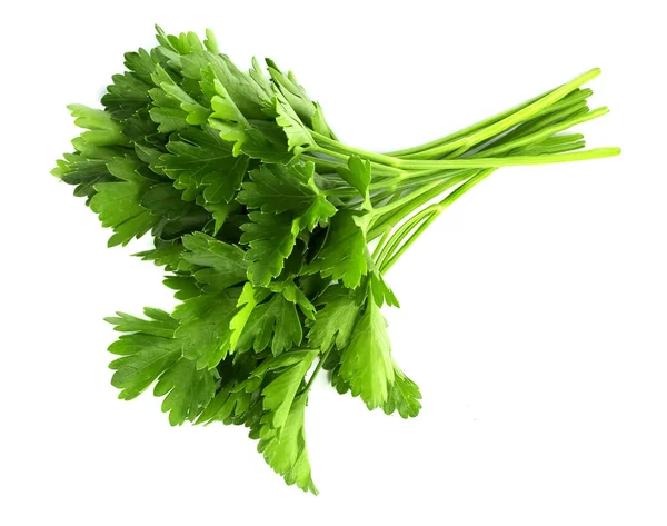 Parsley bunch isolated on white background — Stock Photo, Image