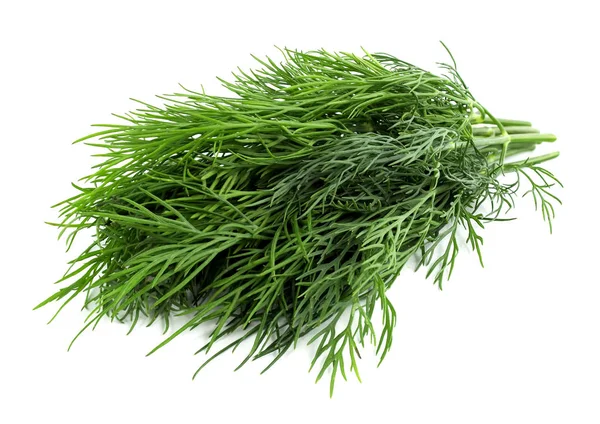 Bunch fresh, green dill on a white background — Stock Photo, Image