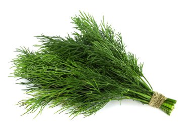 Beyaz arka planda taze, yeşil dereotu.