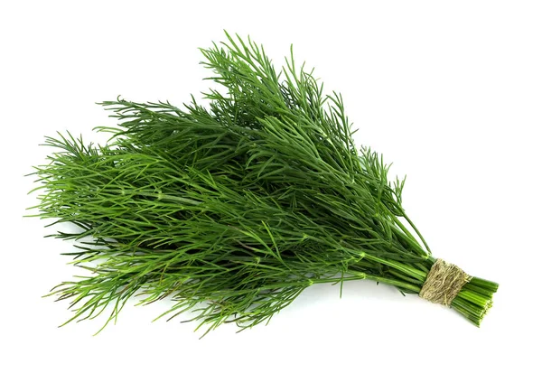 Beyaz arka planda taze, yeşil dereotu.