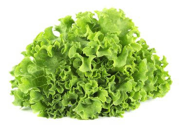 Salata yaprağı. Beyaz arkaplanda marul izole.
