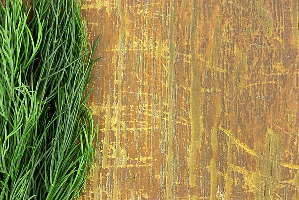 Fresh dill on wooden background — Stock Photo, Image