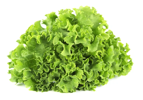 Saladeblad. Sla geïsoleerd op witte achtergrond. — Stockfoto