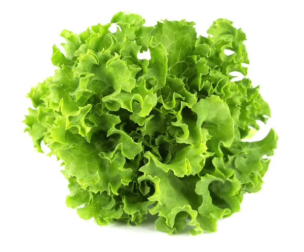 Salata yaprağı. Beyaz arkaplanda marul izole.