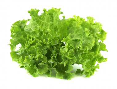 Salata yaprağı. Beyaz arkaplanda marul izole.