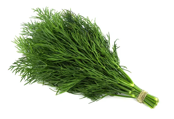 Beyaz arka planda taze, yeşil dereotu.