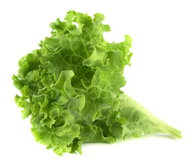 Salata yaprağı. Beyaz arkaplanda marul izole.