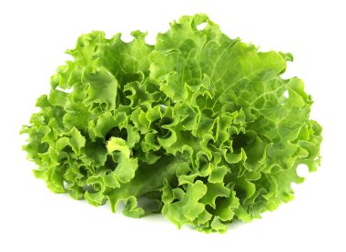 Salata yaprağı. Beyaz arkaplanda marul izole.