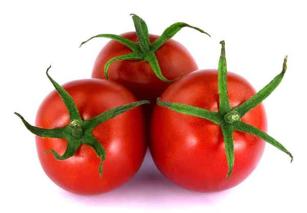 Tomates isolados sobre fundo branco — Fotografia de Stock