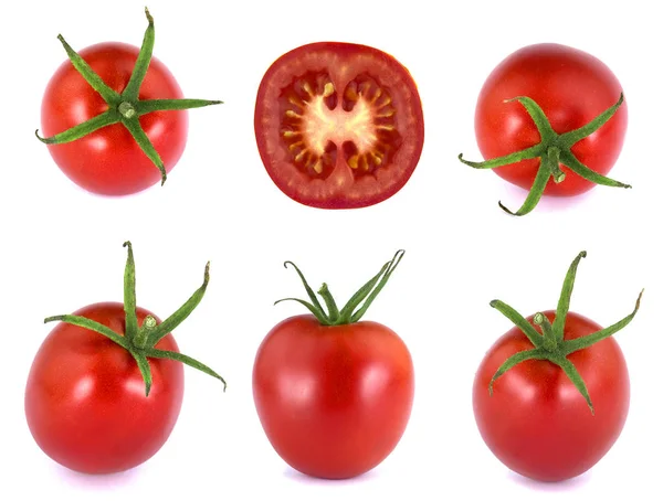 Tomates isolados sobre fundo branco — Fotografia de Stock