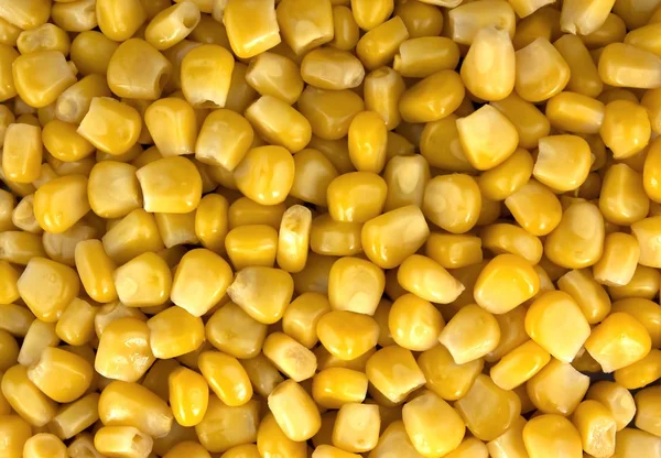 Консервированный кукурузный фон или текстура — стоковое фото