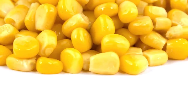Socker majs isolerad på vit bakgrund — Stockfoto