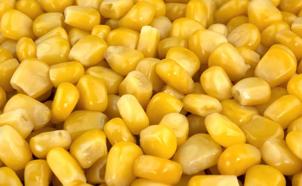Konserverad majs bakgrund eller konsistens — Stockfoto