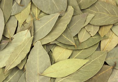 Arka plan doku olarak kuru Defne defne yaprakları