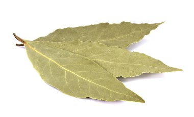 Körfez yaprakları beyaz arkaplanda izole