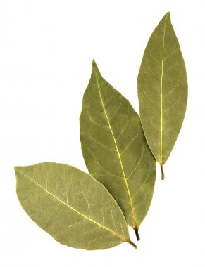 Körfez yaprakları beyaz arkaplanda izole