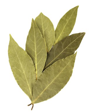 Körfez yaprakları beyaz arkaplanda izole