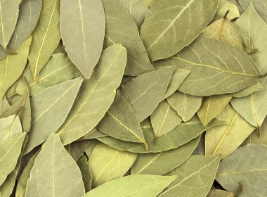 Arka plan doku olarak kuru Defne defne yaprakları