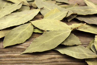Arka plan doku olarak kuru Defne defne yaprakları