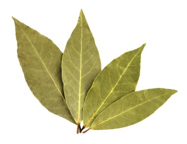 Körfez yaprakları beyaz arkaplanda izole