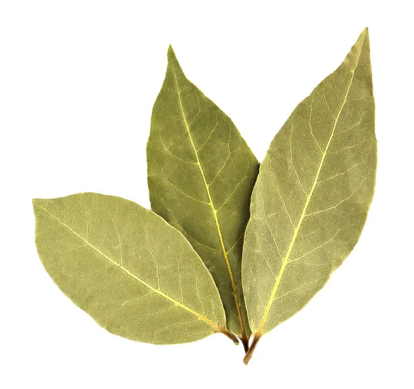 Bay leaves isolated on white background — Stock Photo, Image