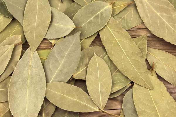 Arka plan doku olarak kuru Defne defne yaprakları