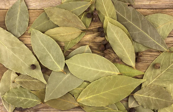 Hojas de laurel seco como textura de fondo — Foto de Stock