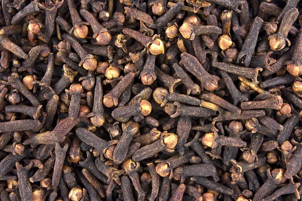 taze baharat tavada, Bali Endonezya dryed karanfil