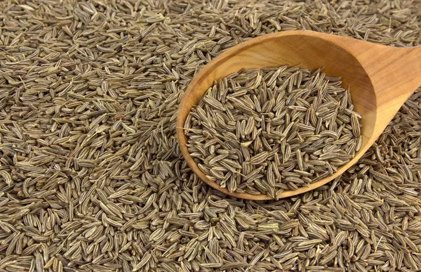 Graines de cumin dans une cuillère en bois — Photo