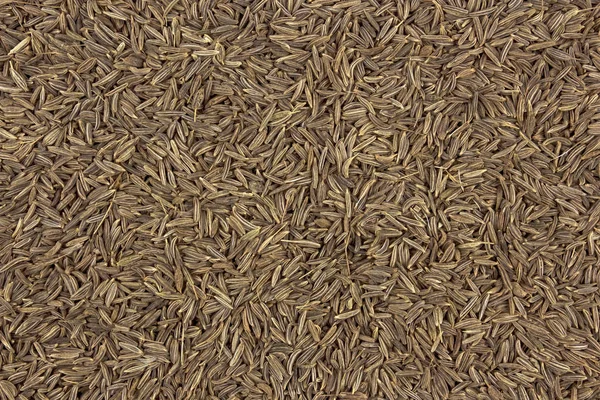 Текстура насіння кмину, повний фон рамки — стокове фото