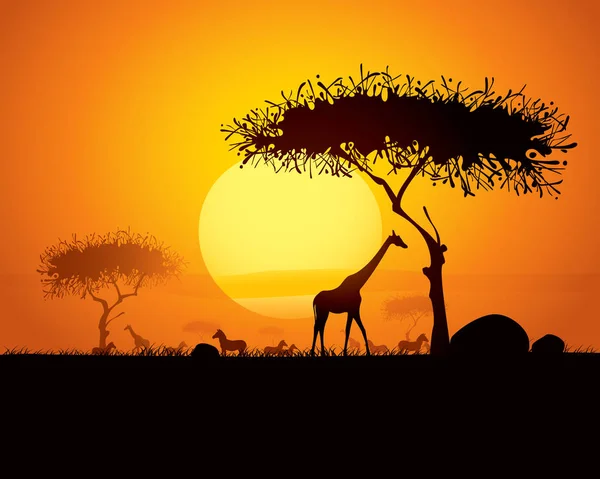 Afrikaanse silhouetten van flora en fauna — Stockvector