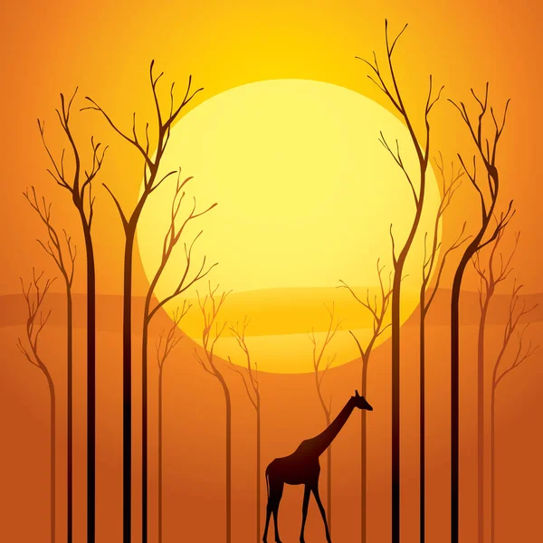 Жираф і сухі дерева на заході сонця — стоковий вектор