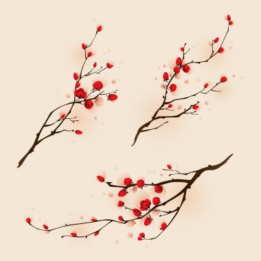 çiçek açması Erik dalı