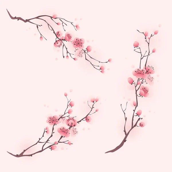 Rami di ciliegio in fiore — Vettoriale Stock