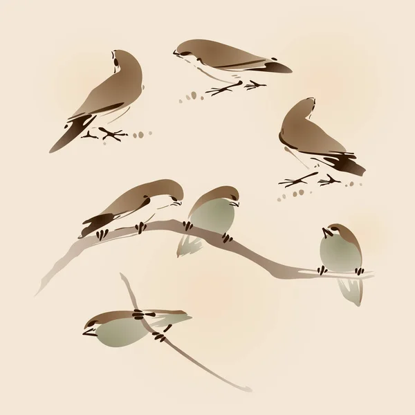Gyönyörű barna madarak — Stock Vector