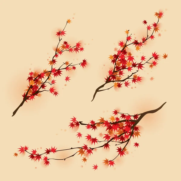 dallarda sonbahar akçaağaç yaprakları 