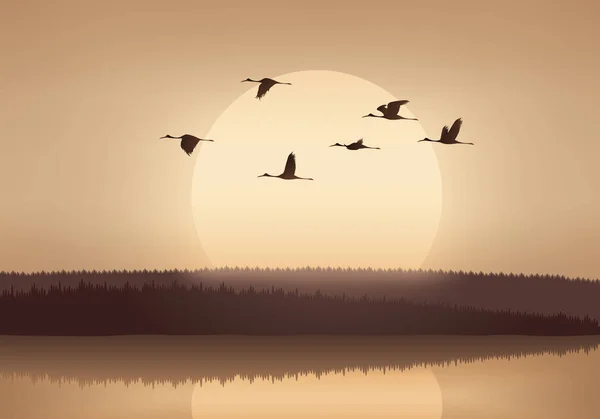 Bando de guindastes voando acima do lago — Vetor de Stock