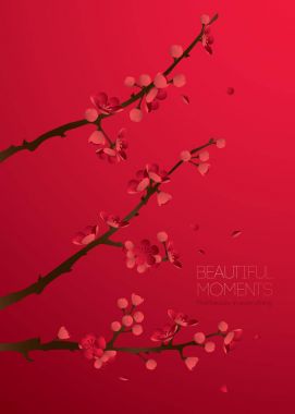 çiçek açması Erik dalı