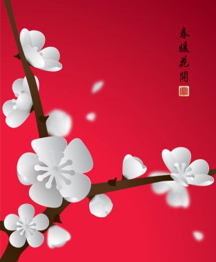 çiçek açması Erik dalı