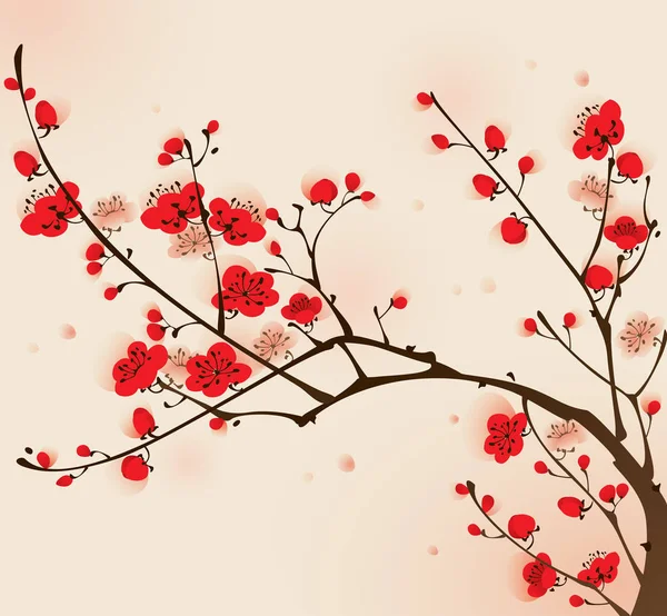 Branche de prunier en fleurs — Image vectorielle