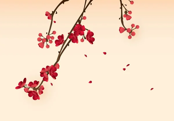 Blossoming plum branch — Stock Vector