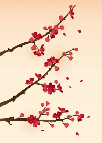 Blossoming plum branch — Stock Vector