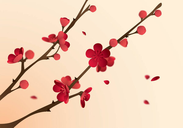 blossoming plum branch